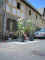 Flieder1.jpg (25361 Byte)