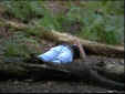 Camc032.jpg (21863 Byte)