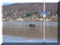 310302.jpg (34991 Byte)