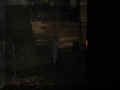 310307.jpg (9882 Byte)