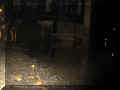 310308.jpg (19419 Byte)