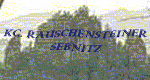 linklogo.gif (15371 Byte)